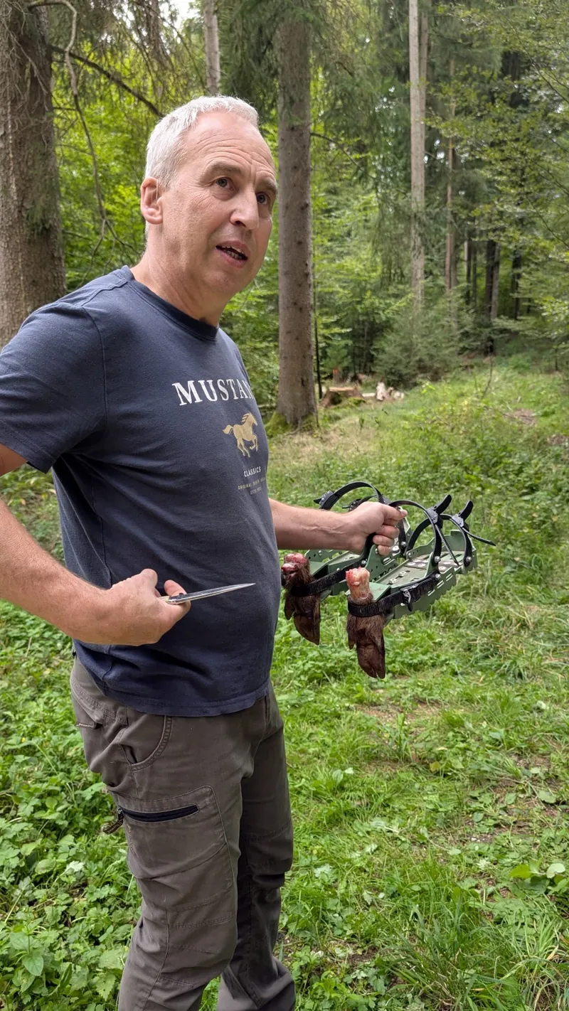 Preparing a training trail in the forest using tracking shoes