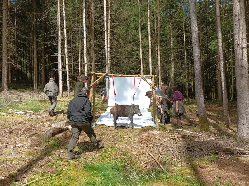 The seminar group looks at a prepared station in the forest
