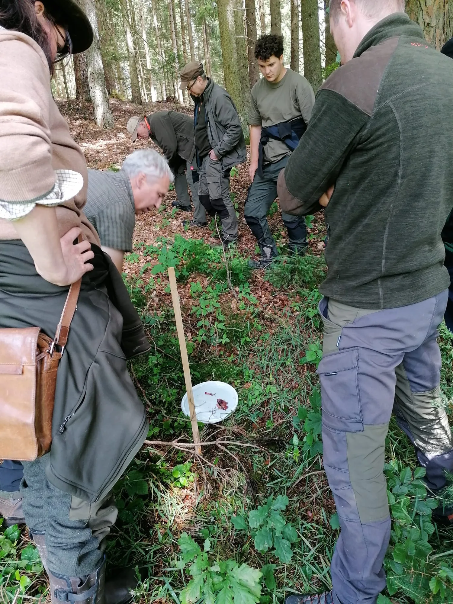Spuren werden direkt am Waldboden untersucht.