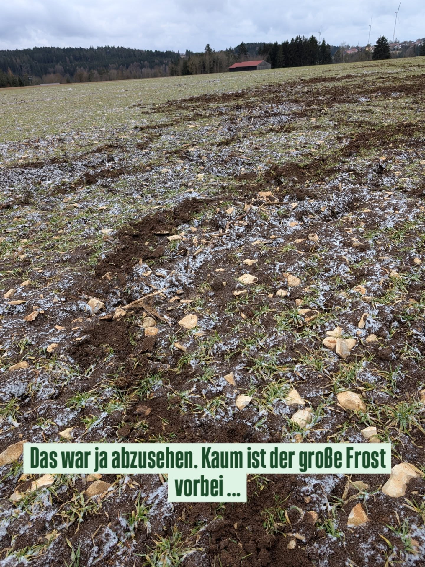 Ja, das war klar. Der große Frost ist vorbei und schon geht wieder die Post ab in Feldern und Wiesen. Jetzt heißt es abe