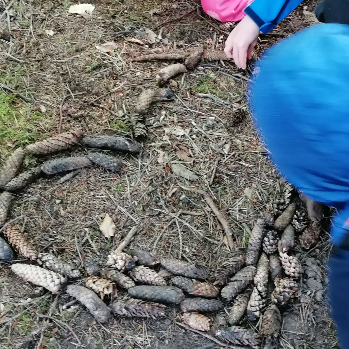 “Was bedeutet der Tod eines Kondors für ein Kind, das noch nie einen Zaunkönig gesehen hat?“
