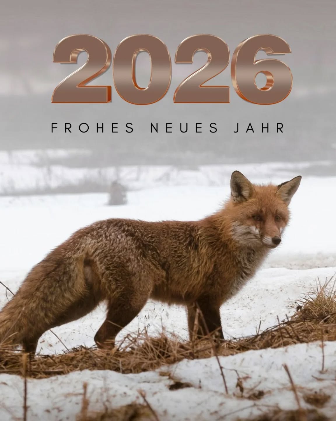Euch allen ein friedliches, gesundes und glückliches neues Jahr. Wir wünschen schöne Stunden in der Natur, guten Anblick