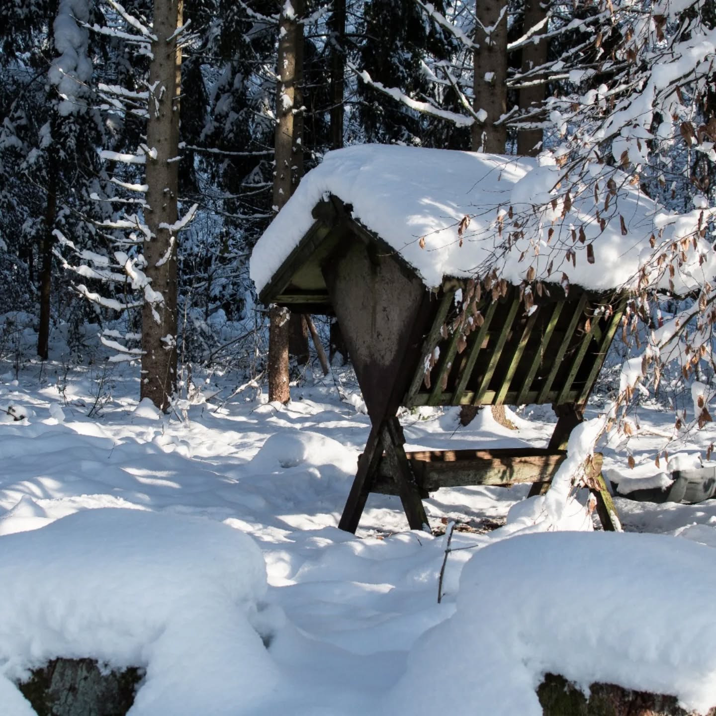 Wann ist eigentlich Notzeit?