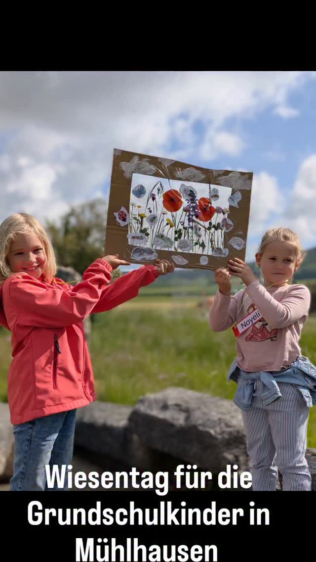 Wiesenblumen mit Kindern entdecken