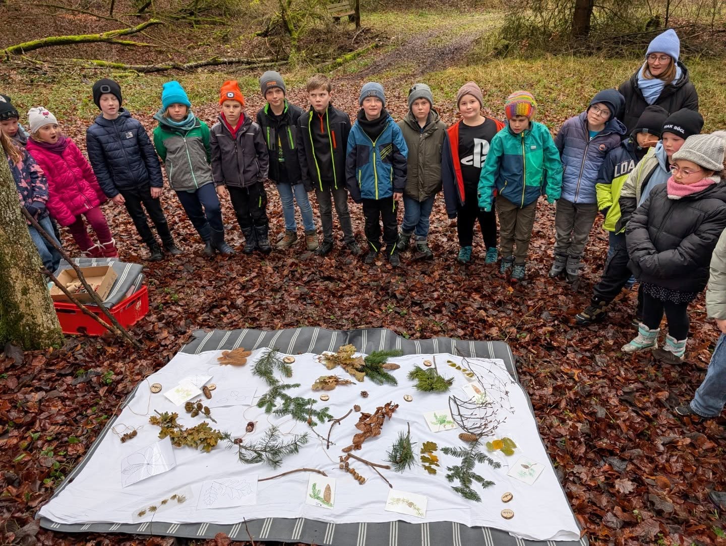 🌲🍄🦊🦉🐜🦌🌲Die Kinder der 3. Klasse der Grundschule Holnstein haben heute einen Wildwechsel entdeckt und dazu hat Jägerin Su