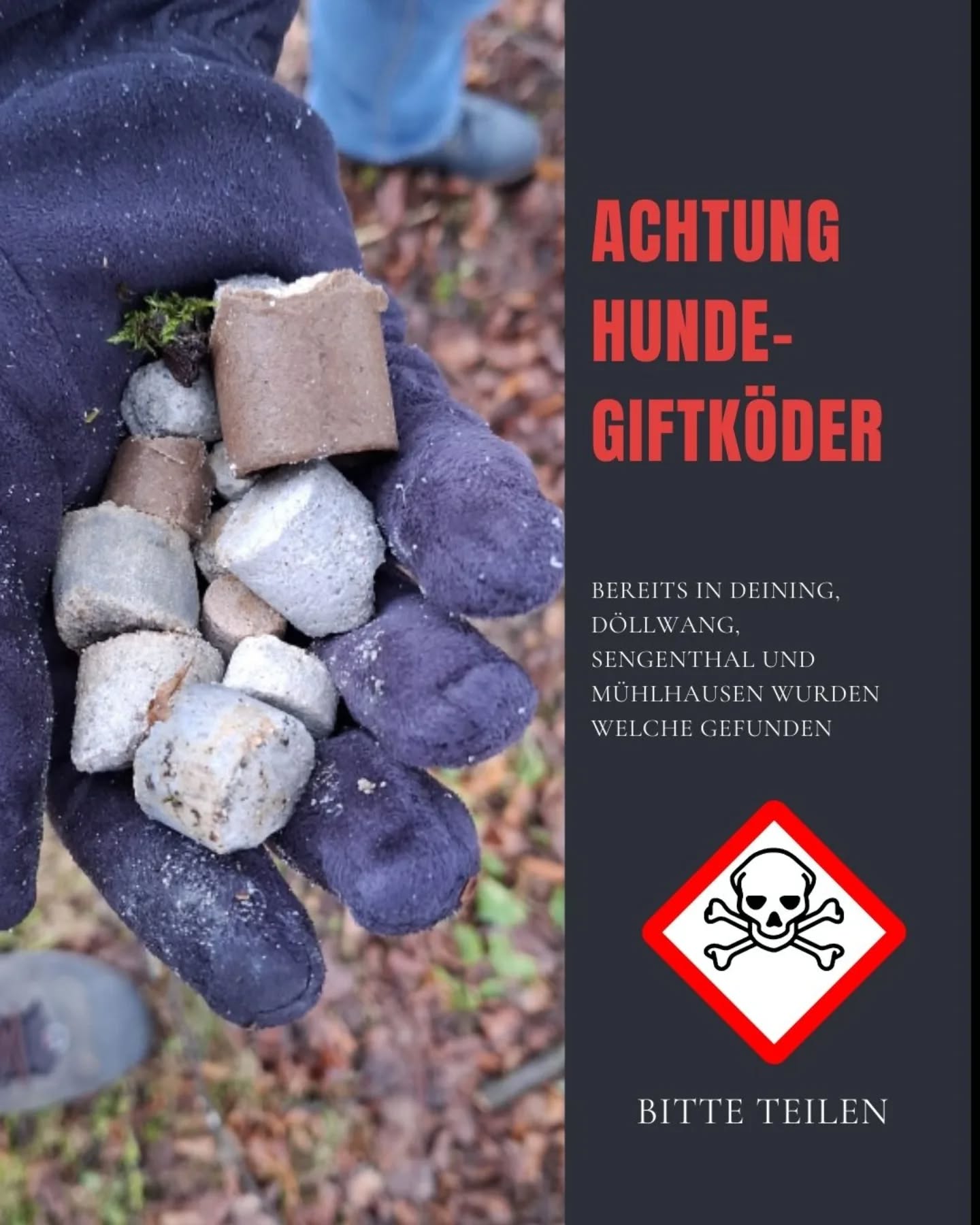 Aktuell im Landkreis Neumarkt i.d.Opf.