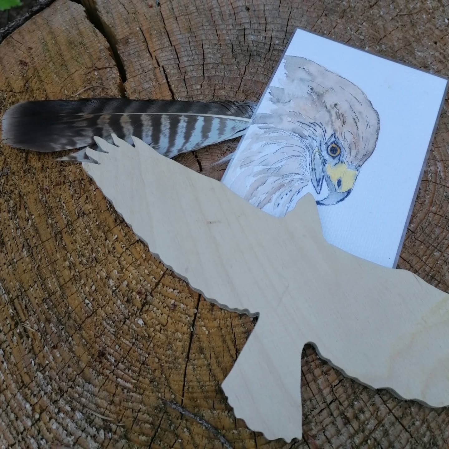 Waldtag für die Vorschulkinder aus dem Zwergennest Mühlhausen 🦊🌳🐜🌲🍄🦉