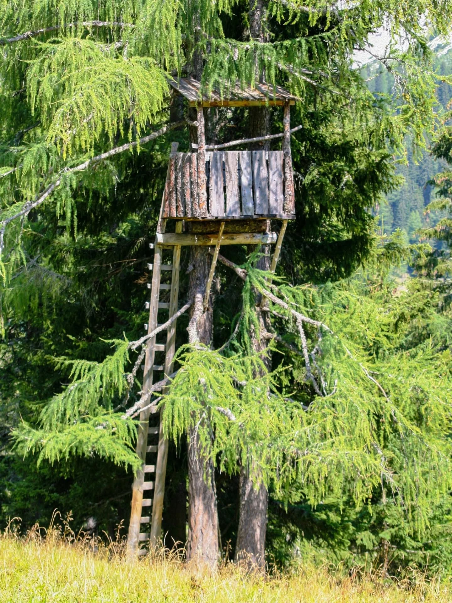 Ein neues Jagdjahr beginnt