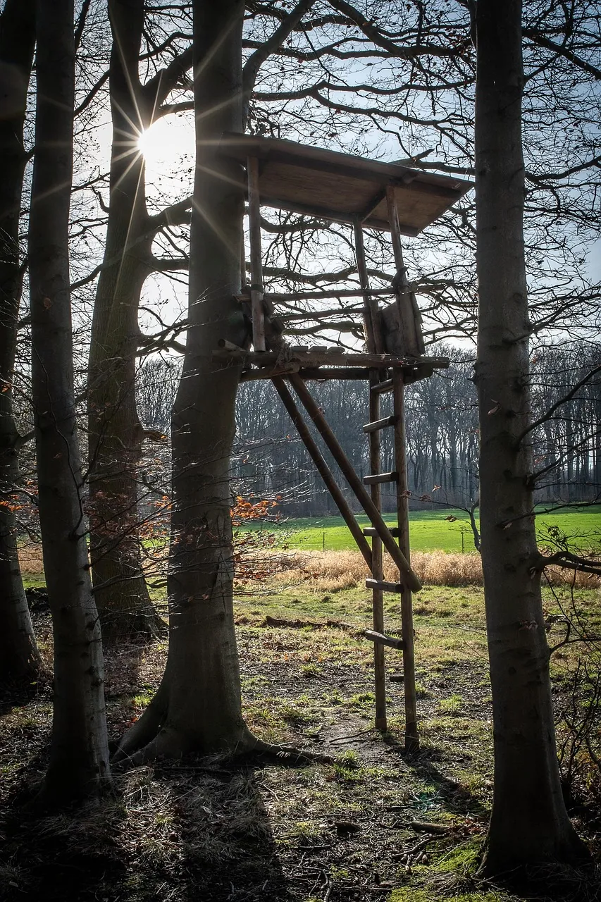 Langenthonhausen hunting area offered for a new lease