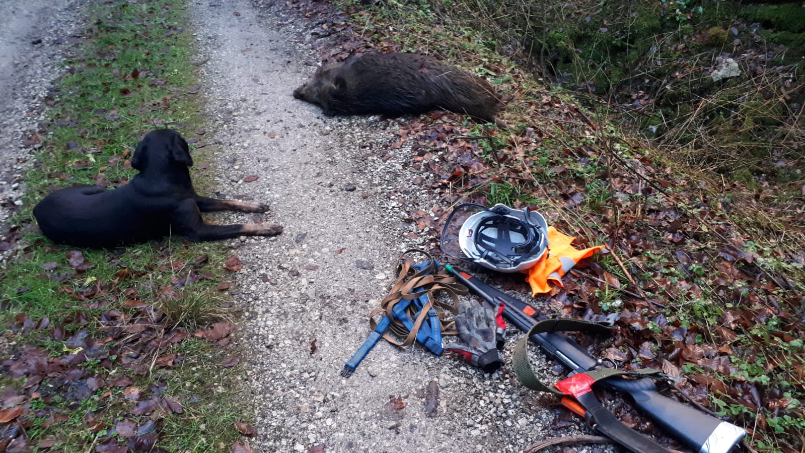 Ausrüstung und Hund bei einer Nachsuche im Revier