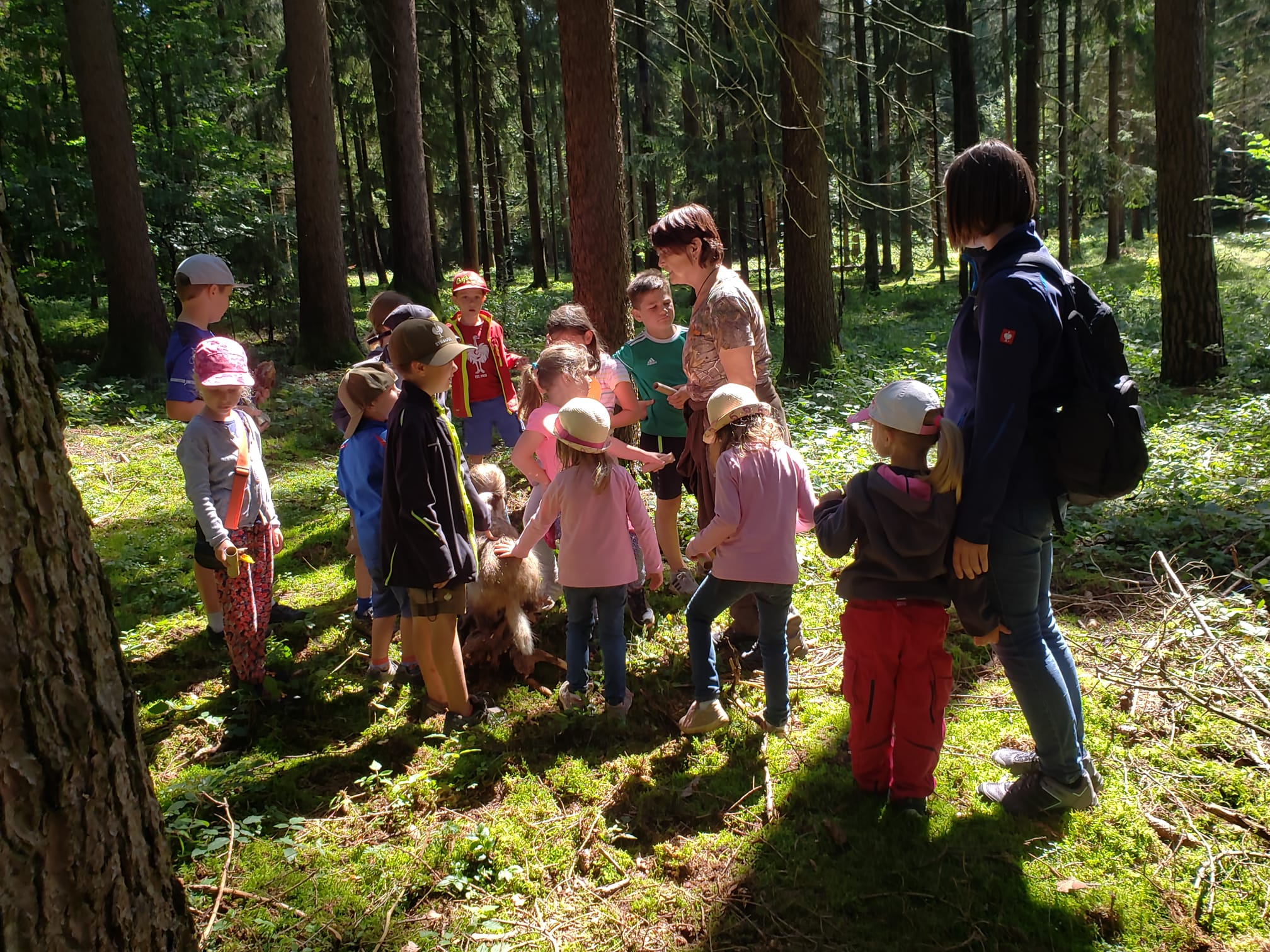 Kinder und Begleitpersonen entdecken gemeinsam den Wald