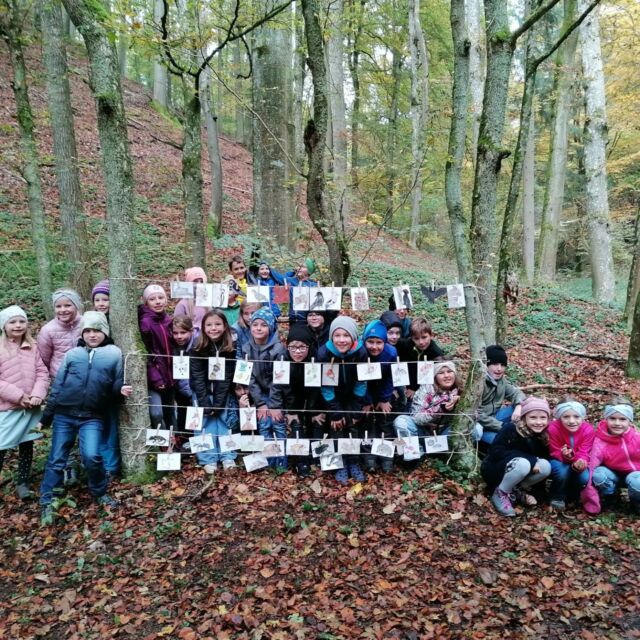 Kennst du die Stockwerke des Waldes?
Die Kinder der 3. Klasse der Grundschule Holnstein kennen sie ganz sicher.
Zusammen haben wir erarbeitet, welche Tiere und Pflanzen in der verschiedenen Stockwerken leben und außerdem haben wir uns die Laub - und Nadelbäume genau angesehen. Die Kinder durften fühlen, dass die Fichte sticht, die Tanne nicht und auch den Wald riechen - Moos, Douglasiennadeln, Laub und Harz - so duftet der Wald. 
Natürlich wissen alle auch, dass man Tannenzapfen niemals sammeln kann!!!
Warum nicht?
Weil diese nie im ganzen zu Boden fallen sondern sich in einzelne Schuppen auflösen und ihre Samen so weit verstreuen. Nur noch die Spindel bleibt am Zweig stehen.
Schule fürs Leben bedeutet, dass Kinder Dinge fürs Leben lernen. Einfache Zusammenhänge aus der Natur, Wissen über die heimischen Wildtiere vor unserer Haustür die sogar manche Erwachsene nicht wissen, weil es nicht wichtig erscheint. Dabei ist es wertvoll Leben und Sterben, wachsen und vergehen zu verstehen.
Wir Jägerinnen und Jäger schulen fürs Leben will wir es können.

#jagdistmehr #natur #wald #waldtiere #waldkinder #schulefürsleben #grundschule #schulkinder #lebensraumwald #umweltbildung #naturpädagogik #lernortnatur #naturerleben #öffentlichkeitsarbeit #stockwerkedeswaldes #naturerlebenundbegreifen #waldpädagogik #schuleinbayern #jägerinnen #jagd #jäger