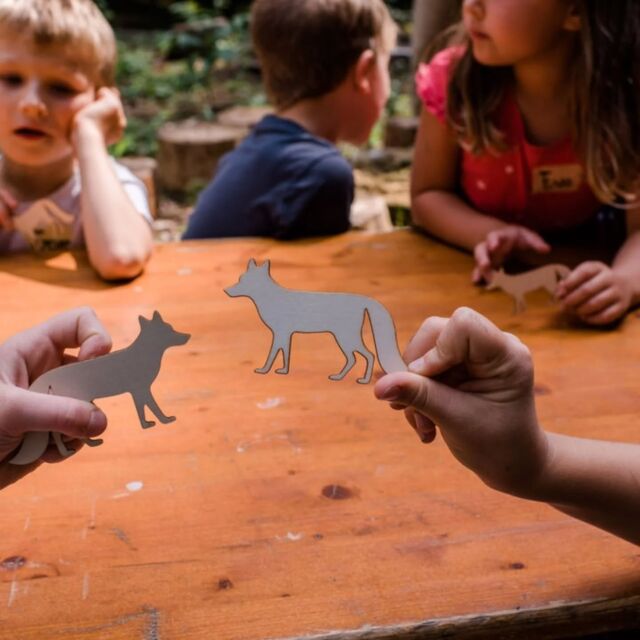 Unsere Abenteuertag- Aktion stand im Zeichen des Fuchses 🦊
Die Kinder durften einen Holzfuchs ausmalen und einen Fuchsbau bauen. Mit Fellresten von @hofstetterpelzdesign konnte sich, wer wollte auch noch ein wenig verkleiden. Außerdem haben wir an der Jagdhütte unsere outdoor Küche aufgebaut und
🌲Waldschokolade 🫐 gemacht (Idee: @nettis_naturkinder) . Die Schokolade mit Waldbeeren und Douglasienadeln kam gut an und wurde ratz fatz verputzt.
Der Nachmittag mit unseren Ferienkindern war schnell vorbei und alle hatten Spaß. Danke an alle Eltern, dass ihr uns eure Kinder anvertraut.
Und wie immer wurden unsere Kinder mit leckeren Sachen von der @baeckerei_plank verwöhnt. Vielen Dank dafür, ihr seid meeeega toll 😍
.
.
#ferienspaß #ferienprogramm #ferienkinder #waldkinder #waldpädagogik #naturpädagogik #schulefürsleben #ehrenamt #waldspaß #natur #wald #fuchsbau #waldschokolade #teamwork #ferienaktiinmitdemjägerverein #jagdistmehr
#öffentlichkeitsarbeit #umweltbildung
. 
@stadt.berching
@pirsch.de