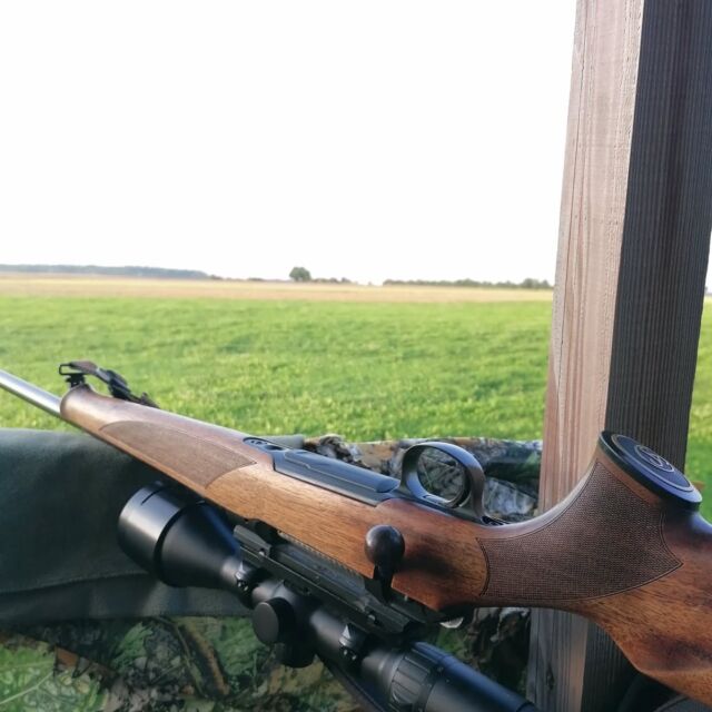 Gerade ist es Termintechnisch a bissl ruhiger im Jägerverein.
Da kommt so ein Ansitz gerade recht. Zeit zum innehalten, durchatmen, reflektieren...
Wann sind wir eigentlich zu Schädlingsbekämpfern geworden?
Da schreit einer.: " viel zu viele Rehe"
Ein anderer: "die Scheiß Muffel müssen weg"
Der nächste: " schaut dass ihr die Sauen schießt, die fressen meinen Mais"
Keiner interessiert sich für Elterntierschutz, Schonzeit, korrektes Ansprechen und Sicherheit bei der Schussabgabe .
Wenn's um eigene Feld, die Wiese oder den Wald geht, kann's manchen nicht oft genug krachen. Dass wir Jäger an Vorgaben gebunden sind ist egal. Dass der anständige Jäger alles was er tut mit seinem Gewissen vereinbaren muss, wird belächelt, wenn Schaden im Weizen oder Mais entsteht.
Zum Glück gibt's auch andere Jagdgenossen. Solche, die mit denen man gerne mal ein paar Minuten quatscht, wenn man sie trifft. Nicht nur die, die sofort eine Rechnung aufmachen wenn ein Maisstängel umknickt. 
🌽🌾🌲

Was denkt ihr? Hinterlässt gerne einen Kommentar oder stimmt ab. Wie ist euer Verhältnis zu euren Jagdgenossen?