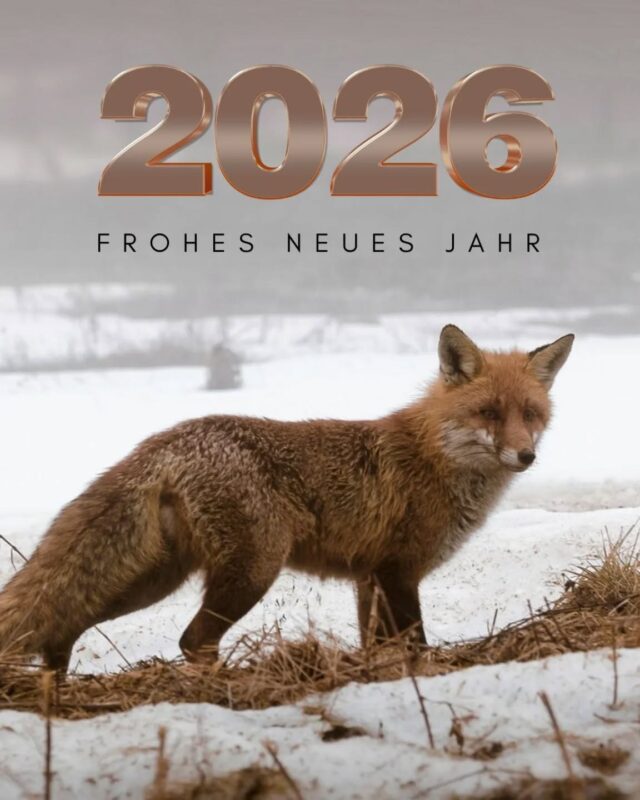 Euch allen ein friedliches, gesundes und glückliches neues Jahr. Wir wünschen schöne Stunden in der Natur, guten Anblick und Waidmannsheil. 

📷 Pixabay

#jahreswechsel #2026 #waidmannsheil #januar #neujahr