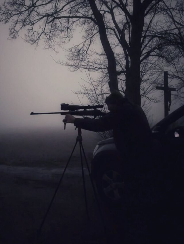 Kennt ihr die nahezu 100%ige Garantie für Schaden im Feld?
Wir auf jeden Fall. 
Maiskolben die vom Vorjahr entweder durch die Ernte oder Schwarzwildschaden untergearbeitet werden, ziehen die Sauen magisch an. Die Folgefrucht, meisten Weizen wird nun systematisch umgegraben um an die Kolben und Körner zu kommen. 
Dazu kommt gerade jetzt im Frühling der erhöhte Eiweißbedarf, infolge dessen auch die Wiesen dran glauben müssen.
Manchmal ist es nötig, Felder zu bewachen, auch wenn man lieber Zuhause bleiben würde. 
Aber immer verantwortungsbewusst❗
🐗 Einzelne Sau? Immer sicher gehen, dass es keine Bache ist. Im Zweifel den Finger gerade lassen und zur Not lieber einen Vergrämungsschuss abgeben.

#veratwortung #wildschaden #pirsch #nachtsimrevier
#schwarzwildbejagung